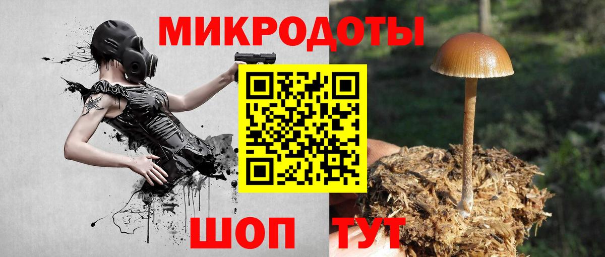Псилоцибиновые грибы Magic Shrooms  Псилоцибиновые грибы ЛСД  Краснокаменск  где купить наркотик  Вход с VPN 
